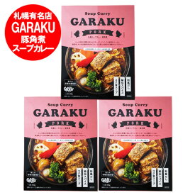札幌スープカレー 送料無料 garaku スープカレー ガラク ポークスープカレー 豚角煮 スープカレー 1個×3個 惣菜 カレー