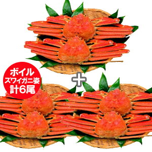 YCKjp  YCKj 3kg(500g×6) YCKj {C 킢 / 킢I / YCI YCKj p