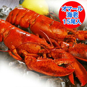 I}[CV  I}[Gr {C 15(1 300g×15) 1(1P[X) I}[CV Ⓚ uX^[  YHi Gr I}[ uX^[