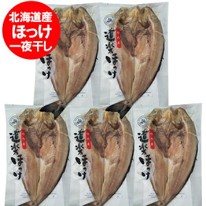 ق  kC X 銱  yق kCY zbP 銱 1pbN×5  YHi zbP