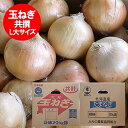 随時発送中 北海道 玉ねぎ 送料無料 たまねぎ 20kg L大サイズ 共選 玉葱 野菜 たまねぎ 北海道産 富良野 もしくは 北見F1 タマネギ