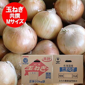  kC ʂ˂ 20kg  ܂˂ 20kg MTCY ʂ˂   ^}lM  ܂˂ kCY xǖ  kF1 ʔK