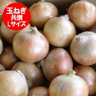 最短発送中 たまねぎ 10kg 送料無料 玉ねぎ 10kg Lサイズ 共撰 北海道 玉葱 野菜 たまねぎ 富良野もしく…