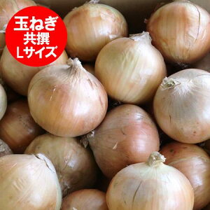  ܂˂ 10kg  ʂ˂ 10kg LTCY  kC ʔK  V܂˂ xǖ͖kF1
