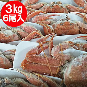 kCY IIYCKj {C  p II@YCKj p 6 v3kgO Jj I  kC  YHi Jj 킢