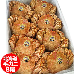 kCY уKj  kC l т / ъI / уKj {C kCY ъI 8 1P[X 4kg ܂Ƃߔ уKj  YHi Jj уKj ^Ot