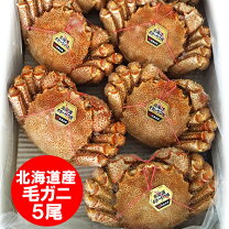 楽天市場】ダルマ 毛ガニの通販 
