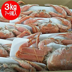 北海道産 オオズワイガニ ボイル かに 姿 オオ ズワイガニ 姿 7尾 〜 9尾入り 合計3kg前後 カニ 蟹 かに 北海道 魚介類 水産加工品 カニ ずわい