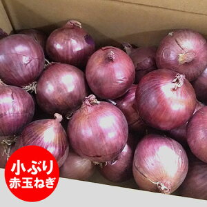  kC 󂠂 ʂ˂ A[[bh  Ԃ܂˂ A[[bh 2kg  ^}lM ʔK STCY ܂˂ 킯 ʂ˂ JA݂炢  Ԃ܂˂