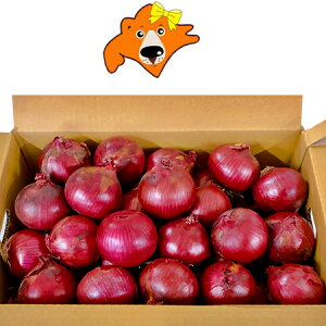 随時発送中 たまねぎ アーリーレッド 20kg ( 10kg×2 ) Sサイズ 北海道 北見産 もしくは 富良野産 赤玉ねぎ 送料無料 赤い 玉ねぎ 赤 玉ねぎ / タマネギ / 玉葱 野菜