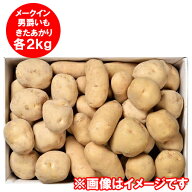 最短発送中 野菜セット 送料無料 野菜詰め合わせ 計6kg(各2kg) 北海道 男爵いも / きたあかり / メークイ…