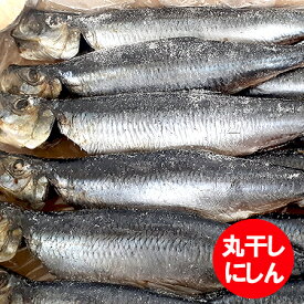 にしん 丸干し 干物 送料無料 丸干しにしん 12尾 1箱 鰊 にしん 焼き魚 に最適 おかず 惣菜 魚介類 水産加工品 ニシン