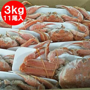 kCY IIYCKj {C  p II@YCKj p 11 YCKjp v3kgO Jj I  kC  YHi Jj 킢