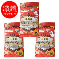 北海道 ポップコーン 送料無料 北海道産 とうもろこし 使用 ポップコーン 1袋×3個 電子レンジ 専用 北海…