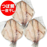 つぼだい 送料無料 つぼ鯛 干物 国産 ツボ鯛 開き 1枚真空×3枚セット 魚 ツボダイ 干物 ツボダイ 一夜 …