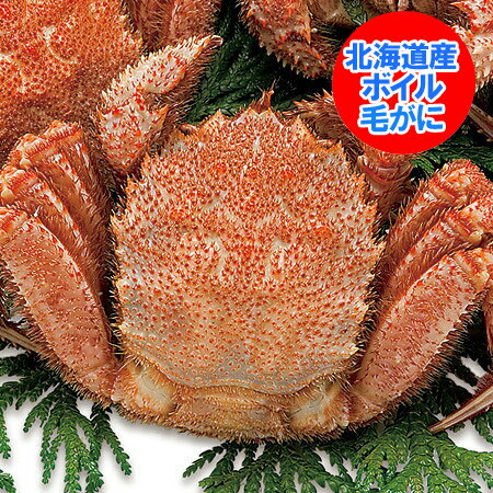 楽天市場 毛がに 北海道 送料無料 毛ガニ 浜茹で毛がに 570g 1尾 北海道産 毛ガニ 送料無料 毛蟹を冷凍便でお届け 価格 7000 円 ポッキリ 北海道 ポイント きた蔵の畑 楽天市場 毛がに 北海道 送料無料 毛ガニ 浜茹で毛がに 570g 1尾 北海道産 毛ガニ 送料無料 毛蟹を冷凍便でお届け 価格 7000 円 ポッキリ 北海道 ポイント きた蔵の畑