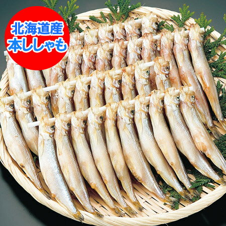 楽天市場 北海道 本ししゃも 送料無料 北海道産 本シシャモ 本場 北海道の ししゃも メス 40尾 価格 5980円 北海道 ポイント きた蔵の畑