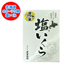 いくら 500g 塩 いくら 送料無料 塩いくら 北海道 いくら 塩漬け 北海道産 塩いくら500g ( 250g×2 ) 魚介類 水産加工品 魚卵 イクラ 塩イクラ しおいくら