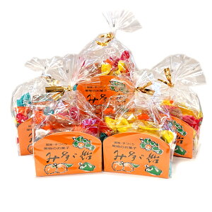 y܂Ƃߔ5Zbgz݂U p܁@ѓX