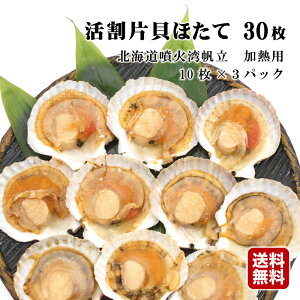 X[p[SALE10%OFFr[T聙kCΘpY  ЊL Ⓚ 30i10×3pbNjMpy󂠂iFĂ܂zkCY  ЊLق ЊLz^e L BBQ 