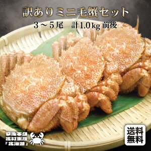 r[T聙~jъIset {CⓀ 200`390gO 3`5 v1.0kgOて󂠂 2 g7 r܂E܌Mtg ܂ ɂ݂ ɖX IX ~jTCY т уKj 