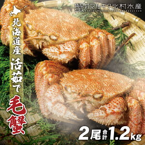 r[T聙kCY 䥂ŖъI 2Zbg 1.2kg 䥂 䥂 l䥂 Iz[cN Θp H 400g 500g 600g 700g 1L 1kg ^ 傫 2lO 3lO IX NNn ґ