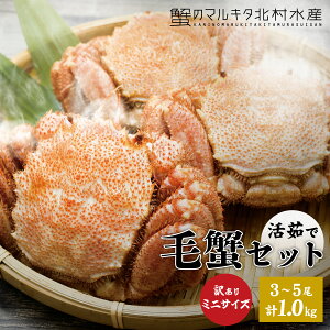 r[T聙~jъIset {CⓀ 200`390gO 3`5 v1.0kgOて󂠂 2 g7 r܂E܌Mtg ܂ ɂ݂ ɖX IX ~jTCY т уKj 