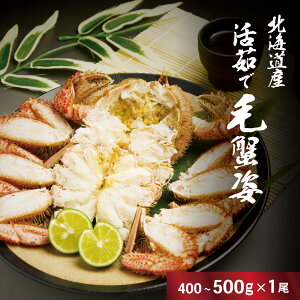 r[T聙kCY 䥂ŖъI 400g`500g×1䥂 䥂 l䥂 Iz[cN Θp H 1ς 1t IX NNn ґ