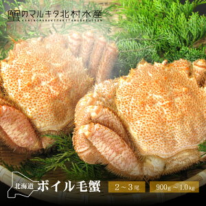 r[T聙󂠂 {CъI 2`3 900g`1kgy󂠂iFXȂA܂͓ĂȂE܂LzkCY VAY 䥂  т  p b 䥂  l