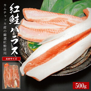 r[T聙ngnX 500g ⓀJ`bJl VAY H gTP gVP ܂ ⓀXgbN ɂ̋ ٓ̂ Ђ Z Ă 