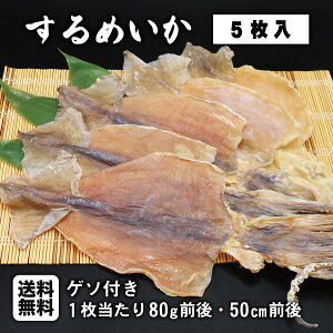 レビュー特典あり☆5枚入 するめ 1枚当たり80g前後 50cm前後ギフト おつまみ 肉厚 スルメイカ するめいか 珍味 おつまみ 干物 お取り寄せグルメ 【送料無料】ギフト
