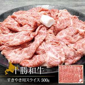 r[T聙\a 500g [X Ăp XCX kCYa kCa Ya јa ~ TV ₫ Ԃ  񂹃O Mtg 