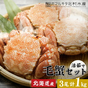 ���r���[���T���聙�ъIset �{�C���Ⓚ 3�� �v1kg�O�て�󂠂� 2���� �g����7�� �r�܂�E�܌�������M�t�g ���܂� ���ɂ݂� ���ɖ��X �I���X �~�j�T�C�Y �т��� �уK�j ���� �J�j 1�L�� 1kg�y