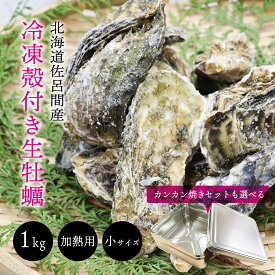 ガンガン焼き用スチール缶セットも選べる！北海道佐呂間産 殻付き生牡蠣 加熱用 小サイズ北海道産 サロマ産 かき 牡蛎 殻つき 殻あり カンカン焼き ガンガン焼き