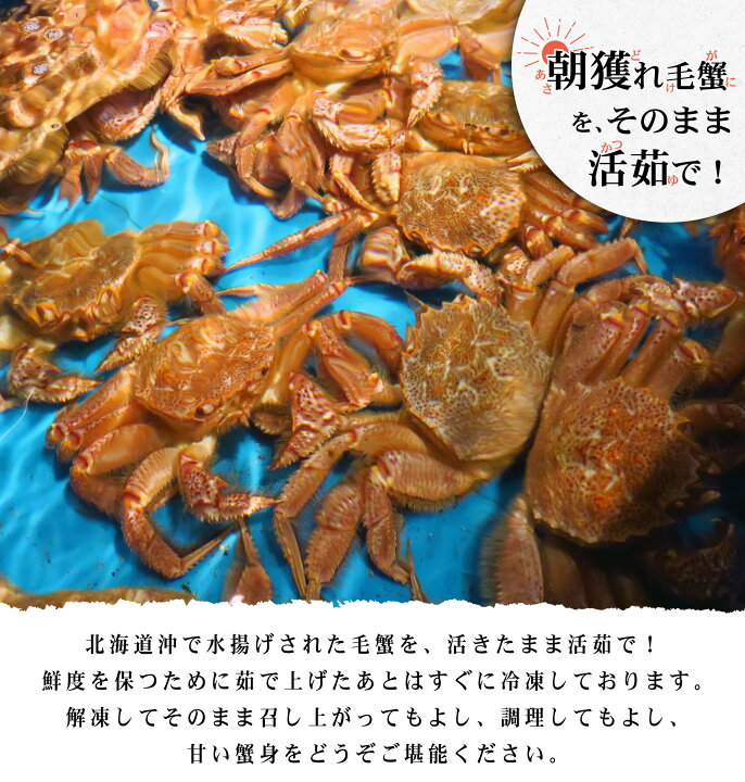 楽天市場】レビュー特典あり☆訳あり ボイル毛蟹 2～3尾 900g～1kg【訳  