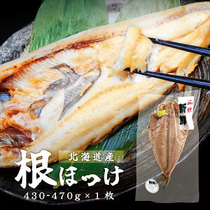 X[p[SALE10%OFFkCPY ق 4TCY 430`470g×1kCY ڂ ^ ō ىH Mtg