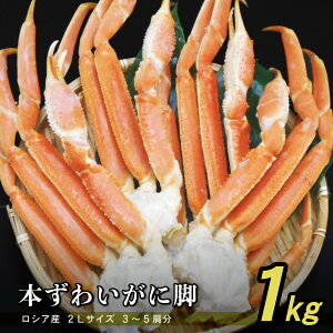 r[T聙󂠂 {킢r 2LTCY 1.0kgO 3`5y󂠂iF܂E܌zVAY {C 䥂 Ⓚ {킢ɋr {킢Ir {킢I {킢 1kg 1L