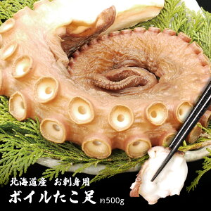 r[T聙kCY hgp {C  1{ 500gOIz[cNCY   h  XCX  ^pbN 񂹃Mtg