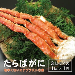 r[T聙{C ΋r 3LTCY 1.0kgO×1GAuXg hȂ ςȂ  ܂ ΊI ΂ I ɓ Jj BBQ o[xL[ 󂠂 