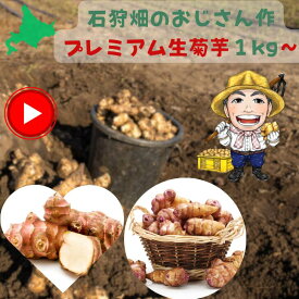 石狩から直送【お客様お気に入り900超】 今のご注文は11月中旬～順次発送 菊芋 菊芋 の 保存⽅法 菊芋 1キロ 菊芋 種芋 菊芋の花の写真 菊芋 無農薬 きくいも キクイモ 生 菊芋スープ 菊芋ポタージュ 菊芋茶 国産 菊芋 サプリ 菊芋 種　石狩みらい畑 キクイモ研究会