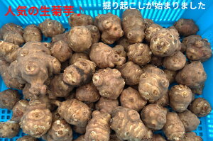 �①�֍݌Ɍ���y�Ύ딨���������I�v���~�A���z��􂢋e���Œ����y �e�� 1kg�` �������� �e�� �� �ۑ�?�@ �e�� 1�L�� �e�� ��� �e���̉Ԃ̎ʐ^ �e�� ���_�� �������� �L�N�C�� �� �e���X�[
