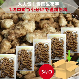 新鮮さアップの為、冷蔵便に変更 6月上旬～順次発送 菊芋の収穫時期 生赤菊芋 北の未来畑 自然栽培 5キロ 寒暖差が美味しさの秘密 ミネラル 無農薬 きくいも キクイモ イヌリン お取り寄せ 菊芋パウダー 菊芋スープ 菊芋 ポタージュ 菊芋 種芋 菊芋 無農薬