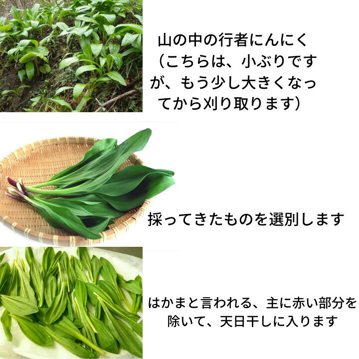 楽天市場】お客様のお気に入り数150超え 北海道 ⾏者 ニンニク 販売 