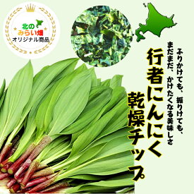 北の大地の生の行者にんにくを250g使い乾燥野菜に アイヌの知恵のスーパーフード　行者にんにく　山のエメラルド 15g　使いやすい　臭くない ちょっとした 手土産 おつまみ ご飯のお供 ステーキ うなぎ ローストビーフ 夏バテ 体調管理に グルメ レシピ 行者ニンニク