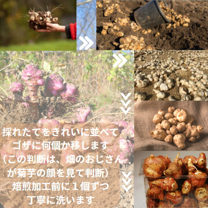 楽天市場】今日から腸活!健康診断に怯えない! らくらくダイエット 北海道生菊芋を1キロ近く天日干し 鉄分もいっぱい 無農薬100g 有機 オリジナル 菊芋パウダー 菊芋スープ きくいも キクイモ 粉末パウダー 菊芋パウダー 国産 乾燥野菜 イヌリン 食物繊維 菊芋茶 国産 ... 楽天市場】今日から腸活!健康診断に怯えない! らくらくダイエット 北海道生菊芋を1キロ近く天日干し 鉄分もいっぱい 無農薬100g 有機 オリジナル 菊芋パウダー 菊芋スープ きくいも キクイモ 粉末パウダー 菊芋パウダー 国産 乾燥野菜 イヌリン 食物繊維 菊芋茶 国産 ...