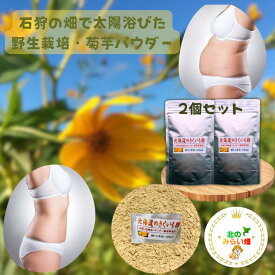 ⾷べるインスリン 菊芋 スルスル夢のダイエット 人気の生菊芋2キロ換算 お日様いっぱい浴びた菊芋を丁寧に粉砕！菊芋パウダー100g × 2個 国産 菊芋茶 菊芋スープ きくいも キクイモ イヌリン プレゼント 贈り物 ギフト 菊芋 粉末 菊芋 無農薬 菊芋の収穫時期 に加工