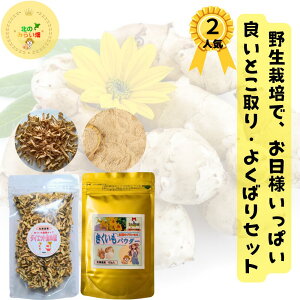 lC! e 100g×2 LNC  2Lgp epE_[ _ lςVr^~Lx ê҂ epE_[ e`bvX [Og `bvX e |^[