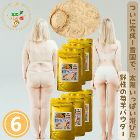 【セットで1200円以上割引に】美味しくて楽ちんダイエット1袋に生菊芋1kg近く以上使用 北海道産 太陽いっぱい浴びてるビタミン 菊芋パウダー 6個 キクイモ 粉末 菊芋 粉末 きくいも 粉末 ヨーグルト きくいも 菊芋レシピ 菊芋スープ 菊芋 ポタージュ 菊芋茶 国産