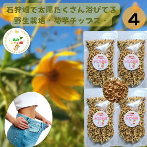 NN_CGbg łɍ΂ ɐlC eh[4LgpI4Zbg e _ e Y e |^[W eX[v e Tv [O