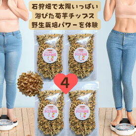 【新！中身も袋も大きく】お米に混ぜて炊くだけ 黄金のチップ 美味しく無理しないダイエット 生菊芋をドーンと4キロ近く使用！4個セット太陽いっぱいで鉄分アップ 菊芋 無農薬 菊芋茶 国産 菊芋スープ 菊芋 ポタージュ キクイモ きくいも 健康食品 ヨーグルト きくいも